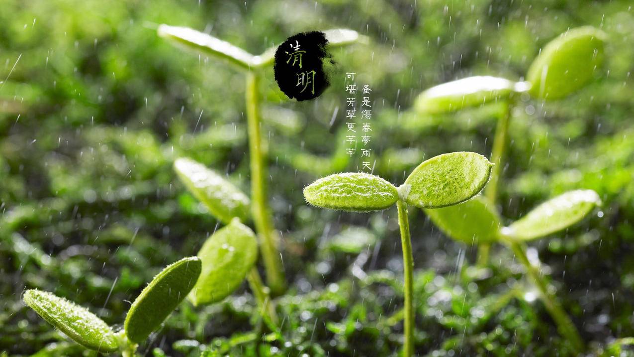 抖音自助业务网,快手买点赞自助平台链接,qq业务自助商城
